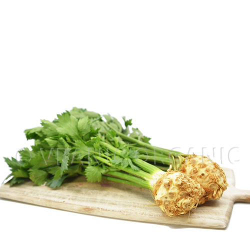 Organic celery root with leaves (piece)