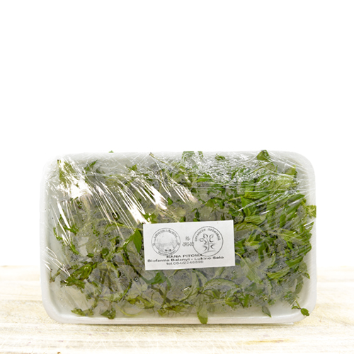 Organic fresh mint (in pack) 100g