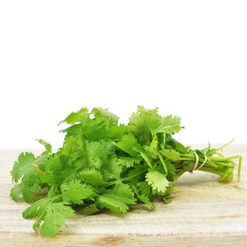 Fresh Organic Coriander (pack 30g)