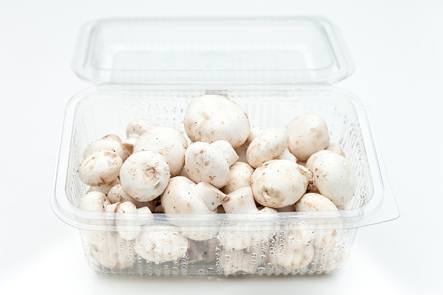 Fresh Organic Mushrooms - White Champignons in pack of 300grams