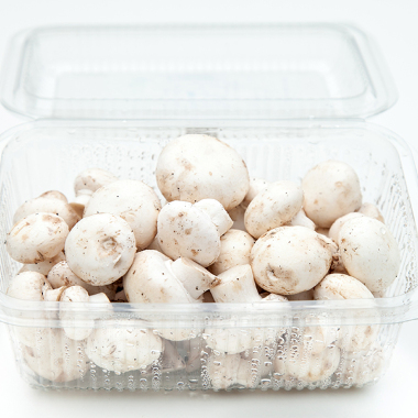 Organski beli šampinjoni (pak 300g)